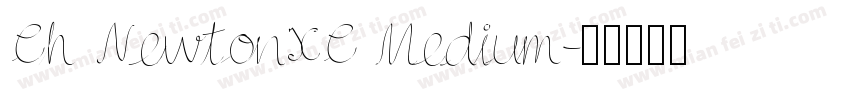 Ch NewtonXC Medium字体转换
